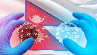 थप १५५१ जनामा कोरोना संक्रमण,  संक्रमितको सङ्ख्या ९० हजार नाघ्यो