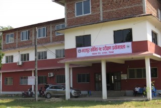चितवनका थप १९ जनामा कोरोना संक्रमण पुष्टि