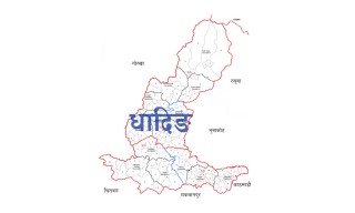 विहिबार धादिङका १३२ जना कोरोना संक्रमण पुष्टि