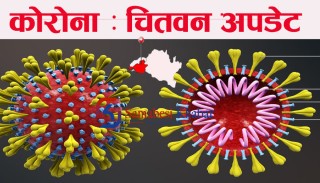 इच्छाकामनाका ३ जना सहित चितवनका ८३ जनामा कोरोना संक्रमण पुष्टि