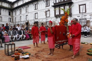 आज दशैंको सातौ दिनः घरघरमा फुलपाती भित्र्याईदै