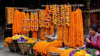 यसवर्षको तिहारमा भारतबाट आउने फुल तथा माला आयात रोक्ने तयारी हुदै