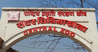 आजबाट खुल्दै सदर चिडियाखाना 