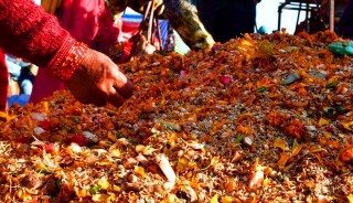 आज शतबीज छरी बालाचतुर्दशी पर्व मनाइँदै