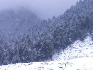 चितवनमा चिसो बढ्यो, तापक्रम ८ डिग्रीमा झ¥यो