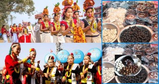 आज माघे सङ्क्रान्ति, मगर समुदायले माघे सकराटी र थारु समुदायले माघी पर्व मनाउदै