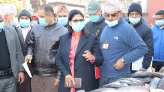 काठमाण्डौको कालिमाटी तरकारी बजारमा कृषिमन्त्री अर्यालको छड्के 