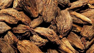 अलैँचीको निर्यात ६० प्रतिशतले बढ्यो