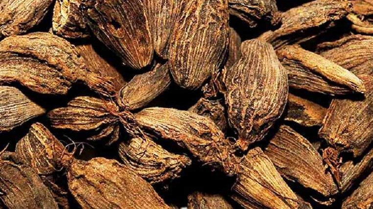 नेपालमा पहिलो पटक ५ जातका अलैंची दर्ता हुने 