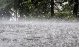 धनुषामा भारी वर्षा, मधेसका अन्य जिल्लामा पनि राम्रै पानी पर्‍यो