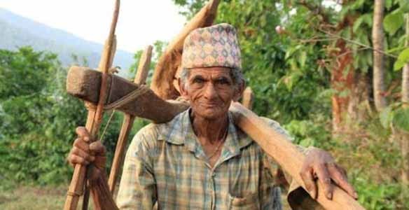 तनहुँको बन्दिपुर गाउँपालिकाले गोरु पाल्ने किसानलाई हलो अनुदानमा दिने