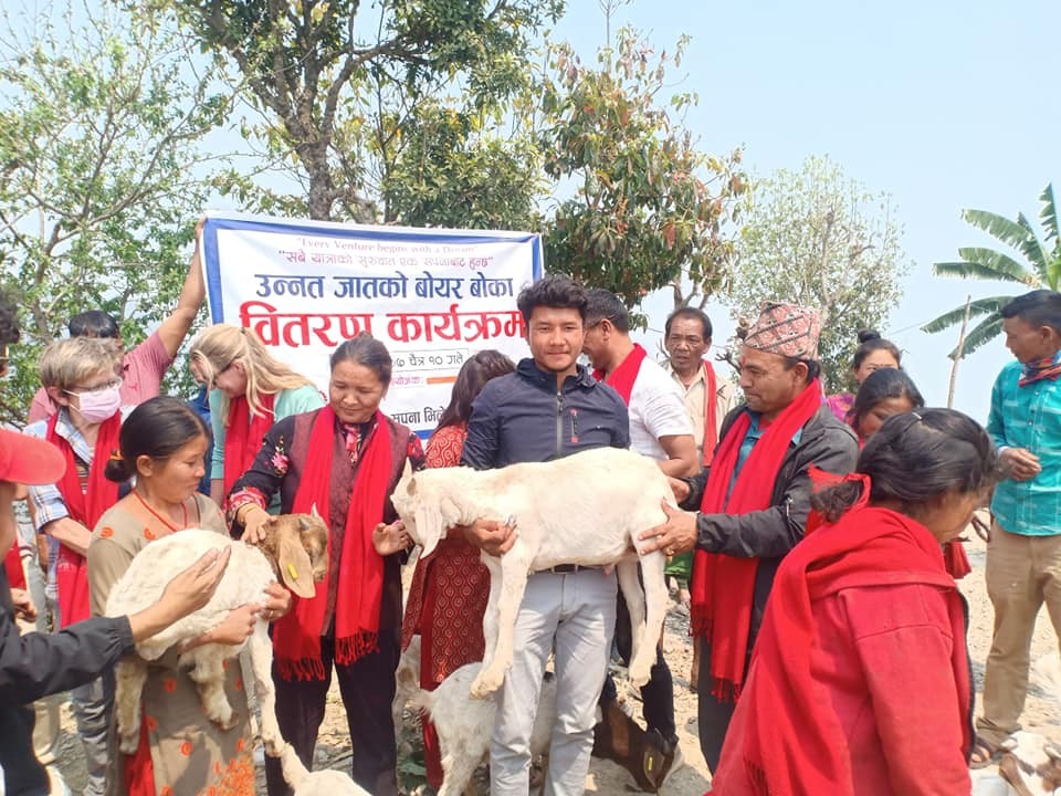 इच्छाकामना कालिङडाँडाका चेपाङ समुदायको आयआर्जन वृद्धिका लागि उन्नत जातका बोयर बोका वितरण