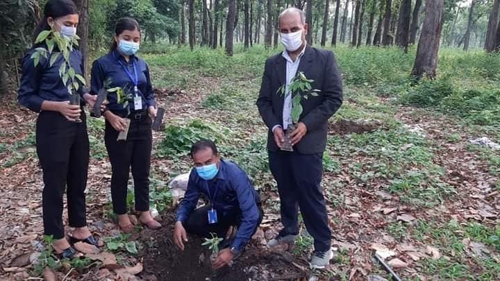 विश्व वातावरण दिवसको दिन शान्ति समाज चितवनद्वारा वृक्षारोपण