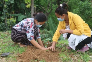 विभिन्न २ सय प्रजातिका बिरुवा रोपेर देवघाटमा मनाइयो चुरे संरक्षण दिवस 