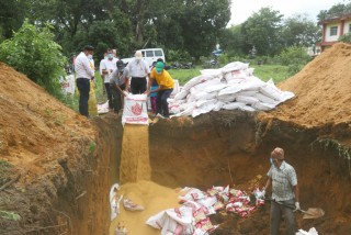चितवनमा ठुलो परिमाणमा भारतबाट अवैध रुपमा ल्याएको धानको बिउ नष्ट गरियो, पाँच एग्रोभेटलाई कारबाही