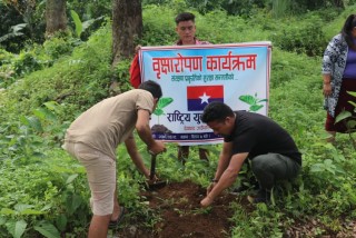 राष्ट्रिय युवा संघ देवघाट कमिटिद्वारा वृक्षारोपण