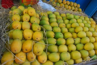 नेपालमा वर्षेनी आँपको आयात बढ्दै 