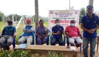 रोटरी क्लब अफ नारायणगढद्वारा देवघाटमा फलफुलका बिरुवा वितरण