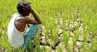 जलवायु परिवर्तनको असर, कृषि र दैनिक जिवनमा देखा पर्दै 