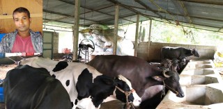 दुध बेचेरै मासिक लाख भन्दा बढि कमाउछन् धादिङ मुरलीभञ्ज्याङ्गका कृष्ण नेपाली