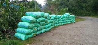 स्कुसको दाना बेचेर इलामका किसानहरुले ३० लाख भन्दा बढि कमाए