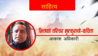 भित्ताको तस्बिर मुस्कुरायो–कविता