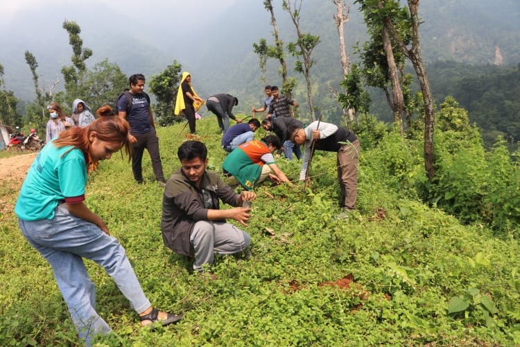 देवघाटको कोटामा ३ सय विरुवा वृक्षारोपण