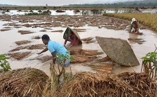 क्षतिको तथ्याङ्क आएपपछि किसानलाई राहत दिइने 