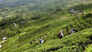पर्यटकीय क्षेत्रको प्रचार गर्न इलाममा अन्तर्देशीय पर्यटनमैत्री साहित्य सम्मेलन हुने