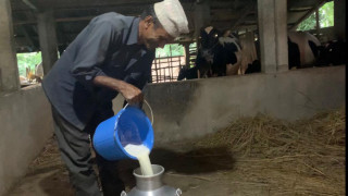 दुध किसानले पाए चार अर्ब भुक्तानी