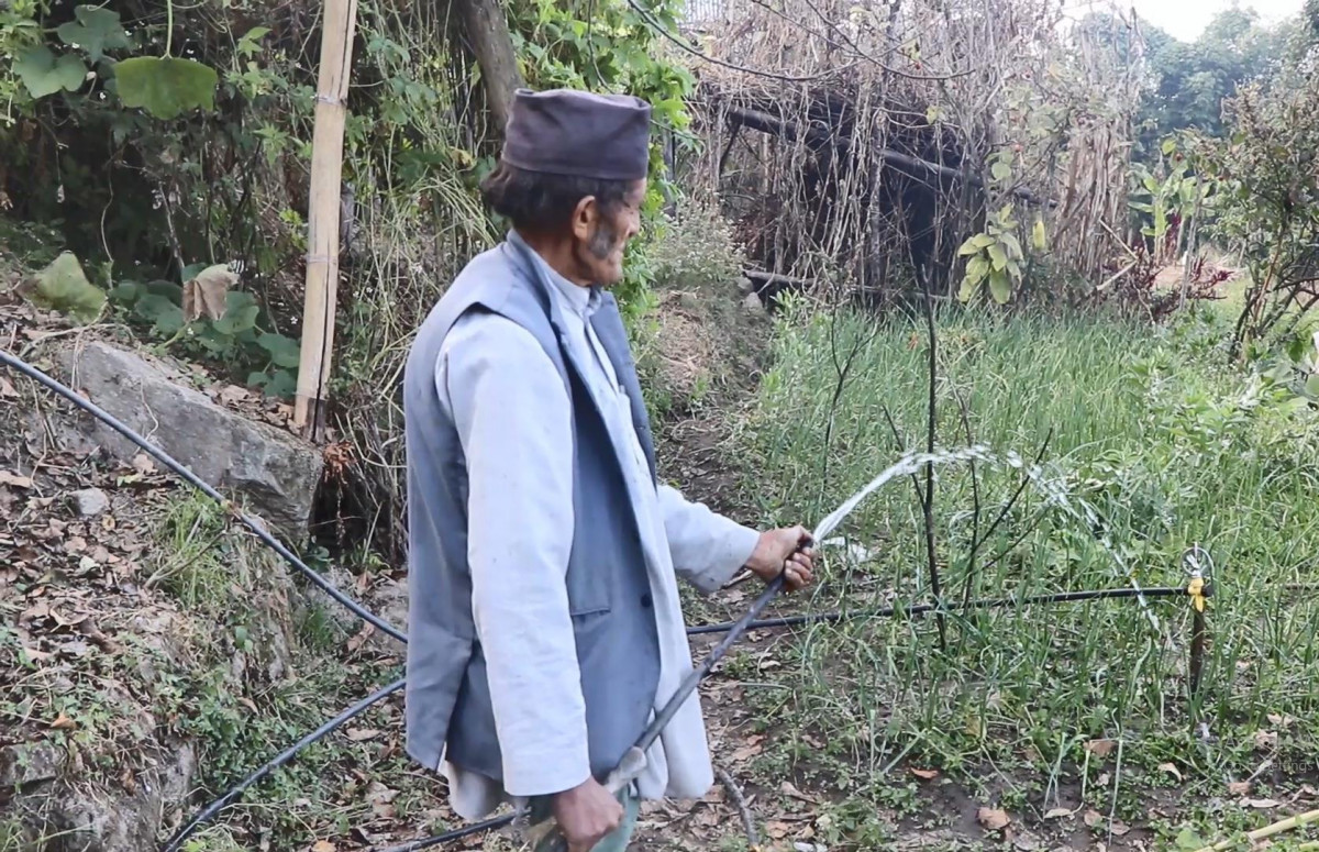 वर्षामा संकलन गरेको पानीले हिउँदे बाली सिँचाई, तरकारी बेच्दै किसान