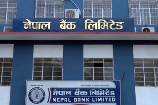 नेपाल बैंकले माग्यो ३०३ कर्मचारी, प्लस-टू उत्तीर्णलाई पनि अवसर