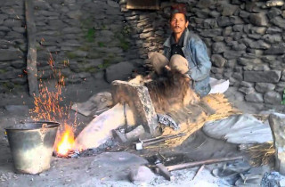 दैलेखमा आरन पेसा संकटमा