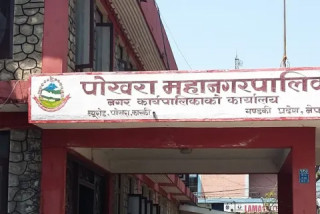 किसानको माग अनुसार अनुदानमा धानको बीउ उपलब्ध गराउन सकिदै : पोखरा महानगर