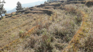 वन्यजन्तु नियन्त्रणको उपाय नहुँदा खेतीयोग्य जमिन बाँझो भएको किसानहरूको भनाइ 