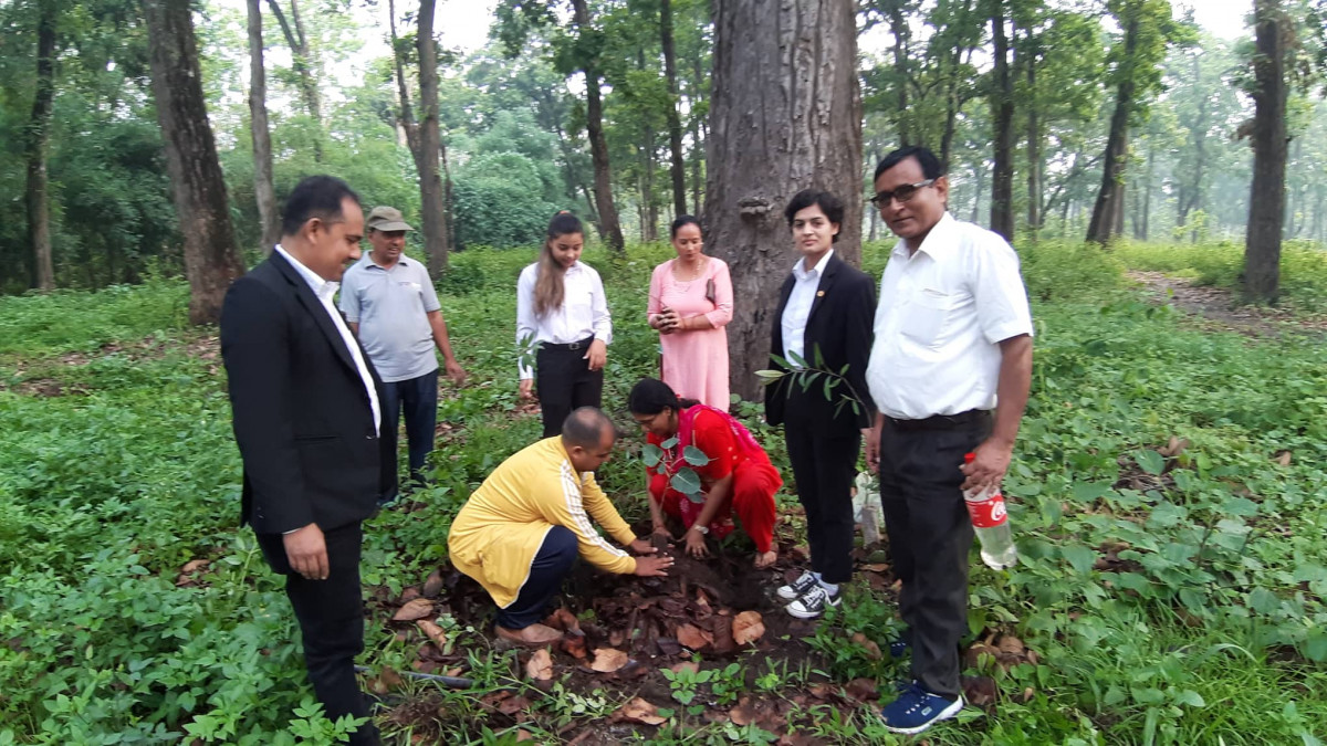 विश्व वातावरण दिवसमा शान्ति समाज चितवनद्वारा वृक्षारोपण