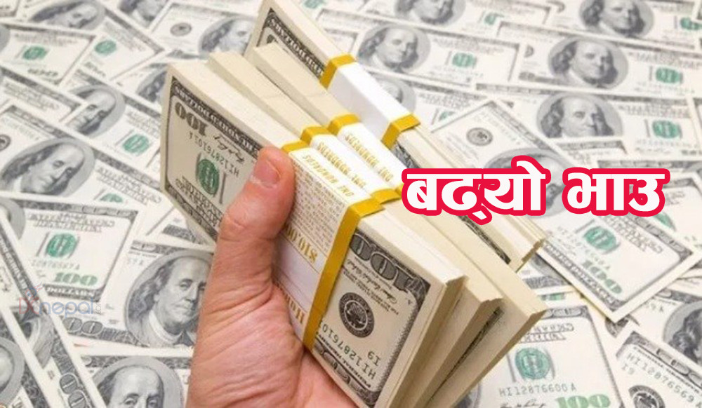 अमेरिकी डलरको बिक्री मूल्य १४१ रुपैयाँ ४२ पैसा पर्ने, अन्य विदेशी मुद्रालाई कति पर्ला ?