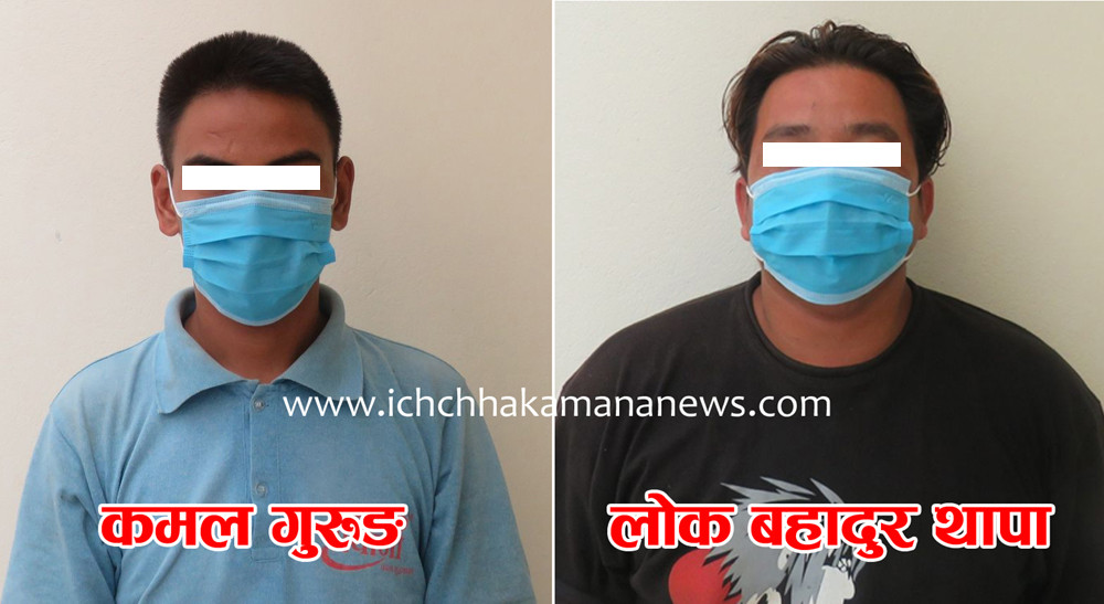 मोटरसाईकल चोरी मुद्दामा जेल परेर छुटेको हप्ता दिन नहुदै सोही अपराधमा इच्छाकामनाका कमल गुरुङ पुनः पक्राउ