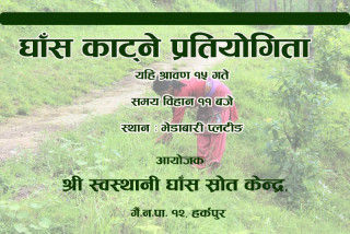 नवलपुरमा घाँस काट्ने प्रतियोगिता हुने, दर्ता गर्दा एक लिटर दुध अनिवार्य