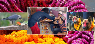 आजदेखि तिहार सुरु, पहिलो दिन यम पञ्चक