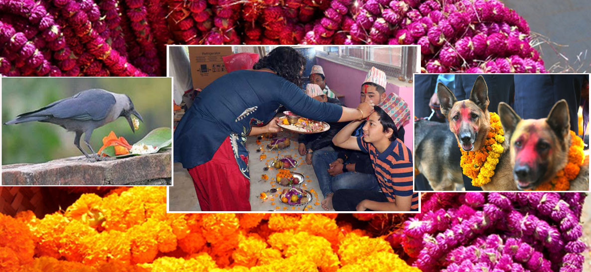 आजदेखि तिहार सुरु, पहिलो दिन यम पञ्चक