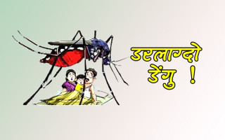 चिसो बढदा पनि रोकिएन डेंगु संक्रमण, अझै २ साता उच्च जोखिम