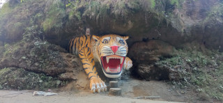 कालीगण्डकी नदीको किनारमा पर्यटक लोभ्याउँदै बाघको मूर्ति