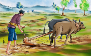 पछिल्ला १० वर्षमा साढे १३ प्रतिशत जनसङ्ख्याले कृषि पेशा छाडे
