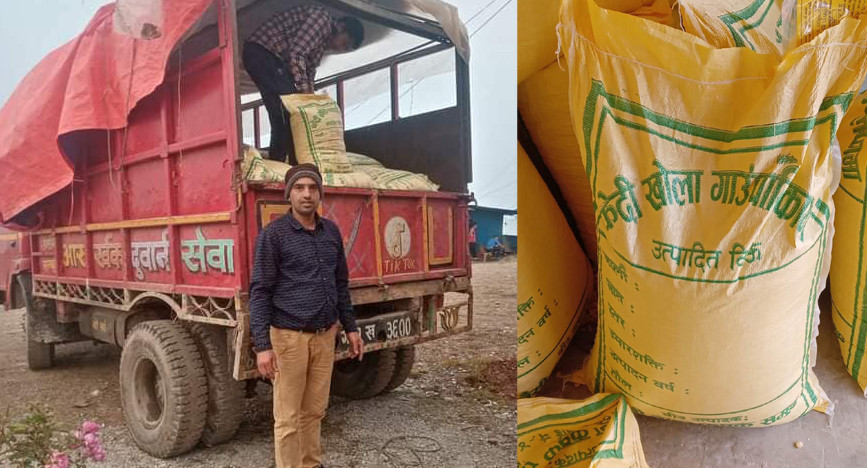 स्याङ्गजा फेदिखोलाका कृषक समूहले उत्पादन गरेको ५० क्विन्टल मकैको बिउ बिक्री