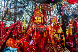 पाथीभरामा माघ महिनामा २४ लाखभन्दा बढी भेटी सङ्कलन