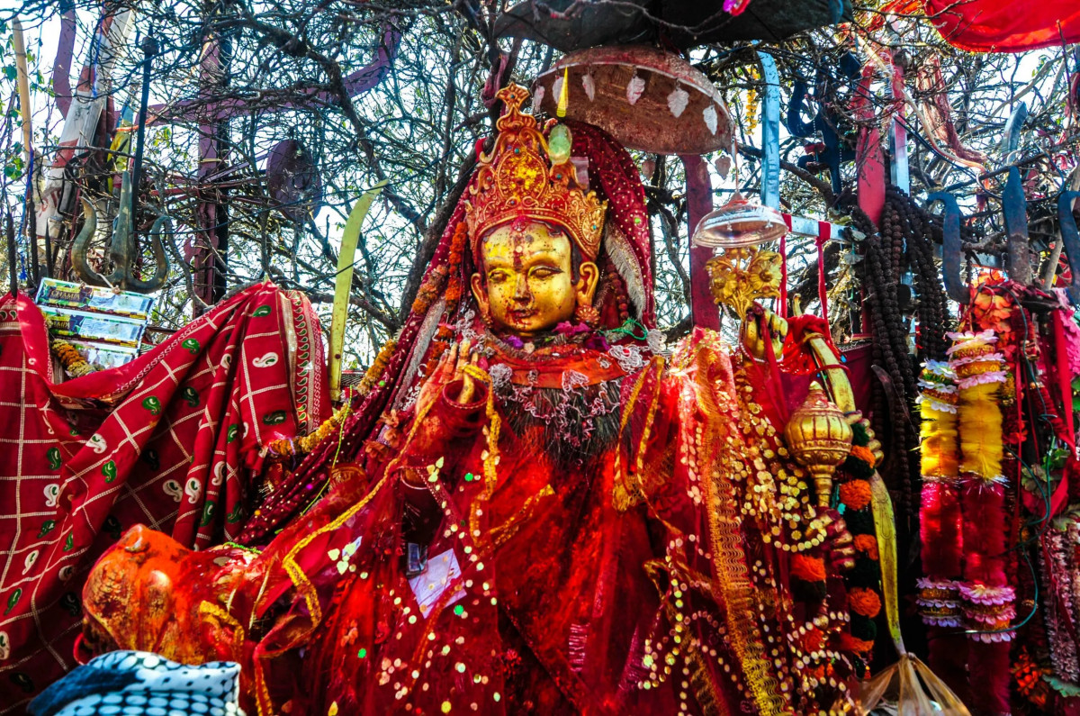 पाथीभरामा माघ महिनामा २४ लाखभन्दा बढी भेटी सङ्कलन