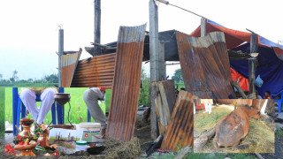 चितवनमा गाई मरेपछि मान्छे मरेझै किरिया गरियो