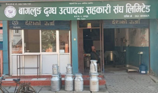 दूध बेचेर करोडौँ गाउँ भित्र्याउँदै बागलुङका किसान