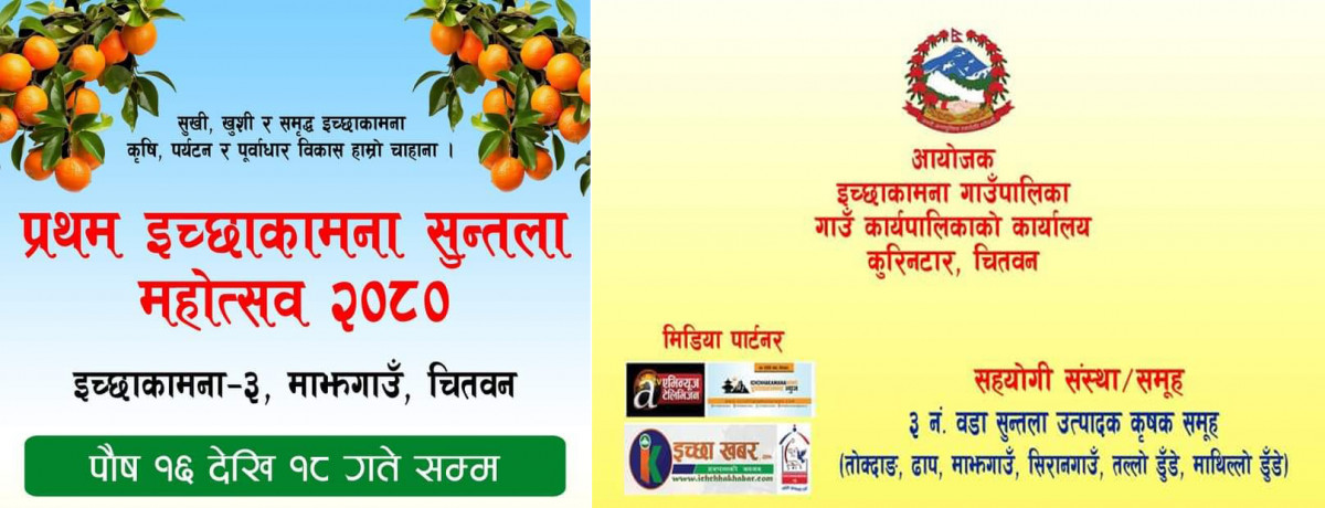 पुस १६, १७ र १८ गते इच्छाकामनामा पहिलो पटक सुन्तला महोत्सव हुदै
